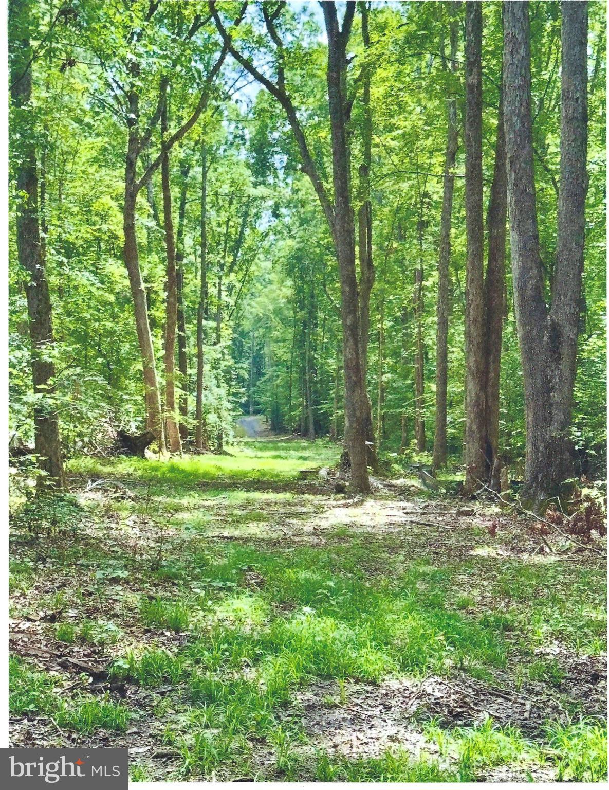 14409 Spotswood Furnace Road Fredericksburg, VA 22407 - Photo 2 of 15 a view of outdoor space with trees all around