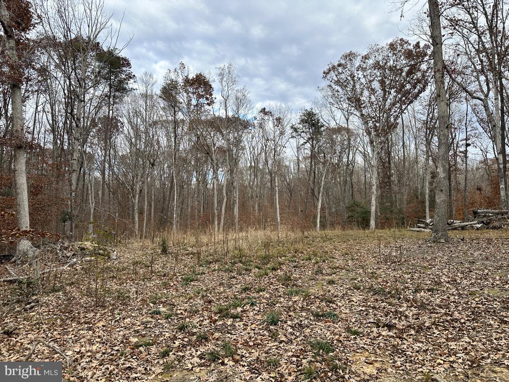 14409 Spotswood Furnace Road Fredericksburg, VA 22407 - Photo 3 of 15 a large yard with lots of green space