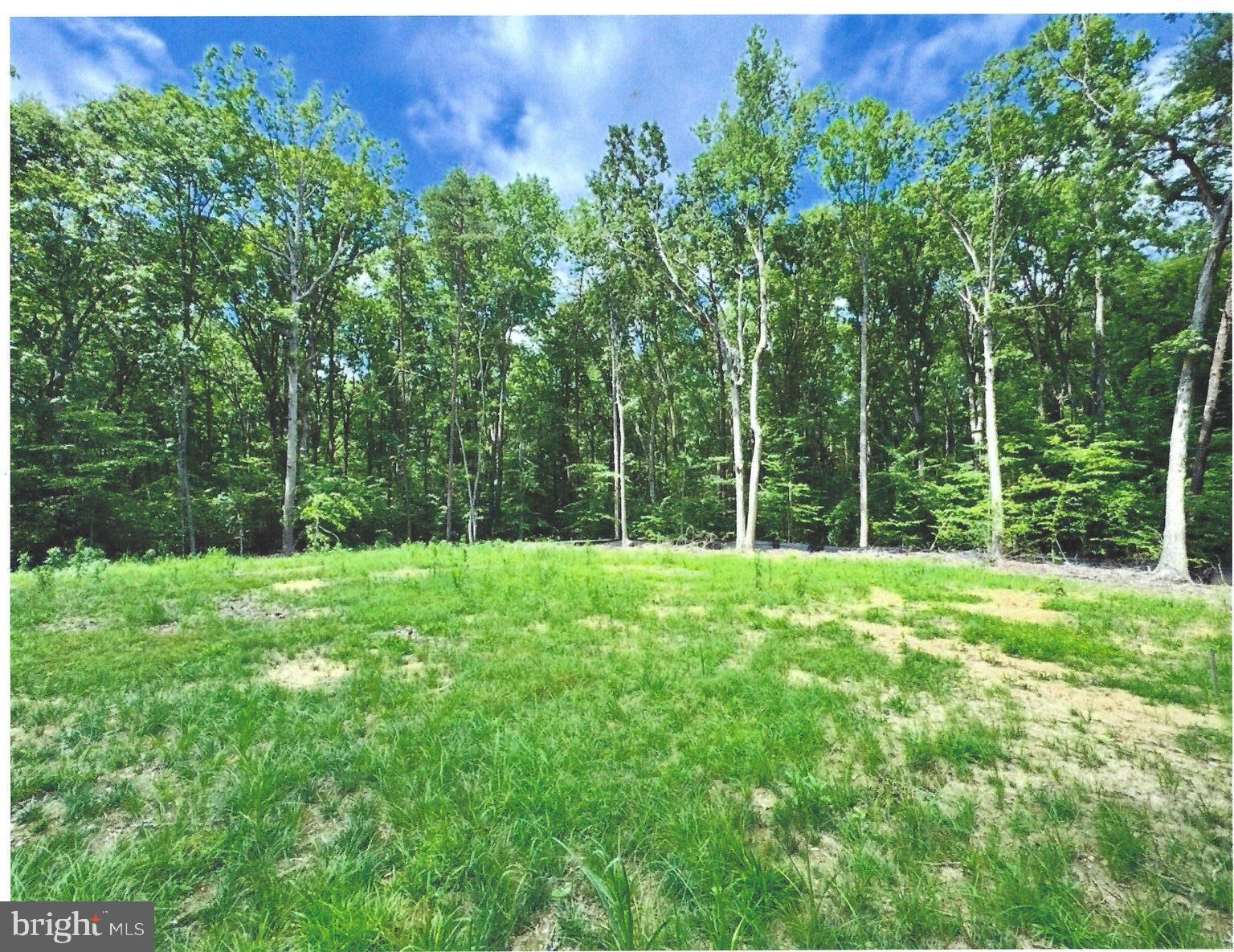 14409 Spotswood Furnace Road Fredericksburg, VA 22407 - Photo 4 of 15 a view of a backyard with a garden