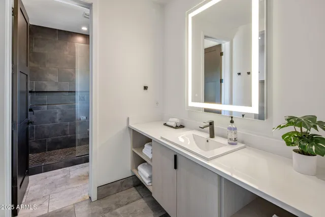 a bathroom with a sink a potted plant and a mirror