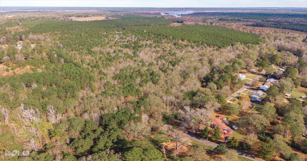 0 Camelia Street Vivian, LA 71082 - Photo 10 of 13 Aerial view of property and surrounding area with a heavily wooded area