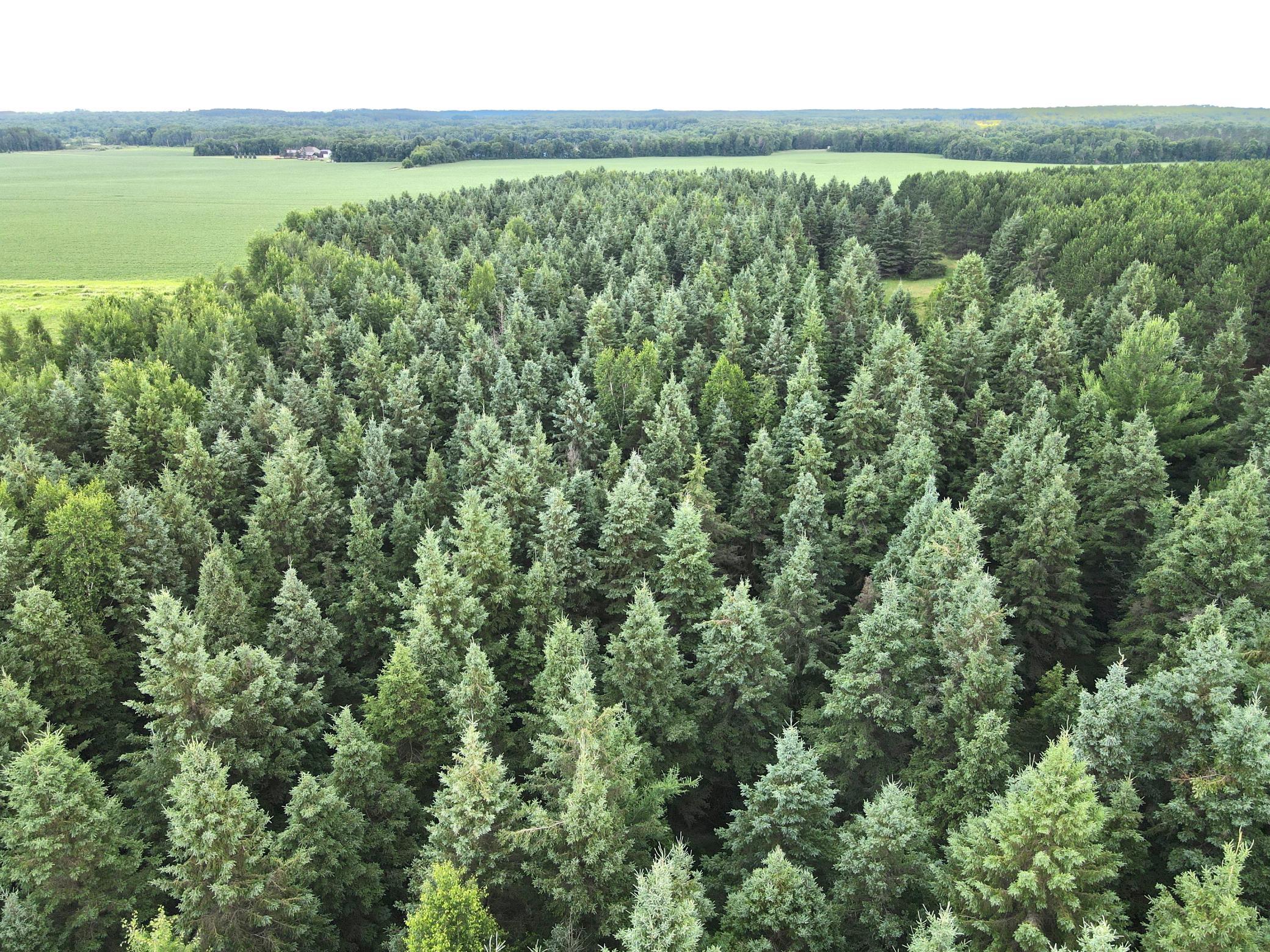 Tbd-20-ac Sleepy Hollow Road Fort Ripley, MN 56449 - Photo 5 of 27