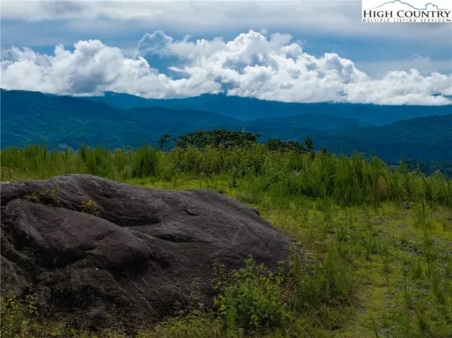 a view of a bunch of trees with sitting space