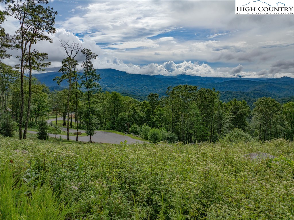 S50 Cliffside Trail Banner Elk, NC 28604 - Photo 19 of 21 a view of a garden with a building in the background