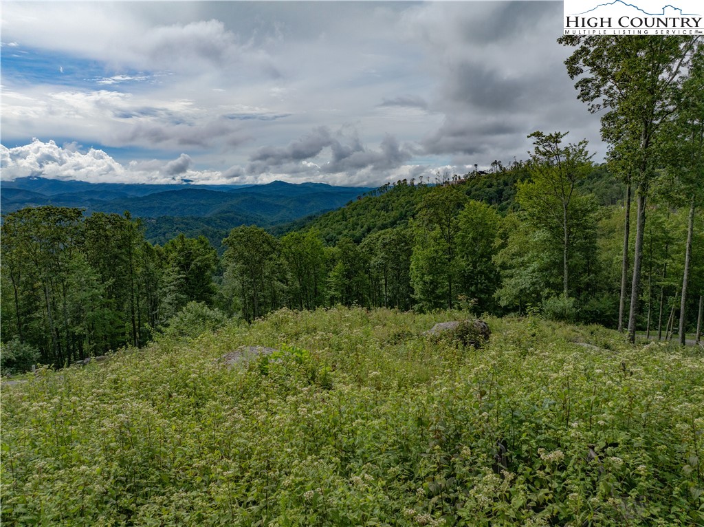 S50 Cliffside Trail Banner Elk, NC 28604 - Photo 20 of 21 a view of a lush green space