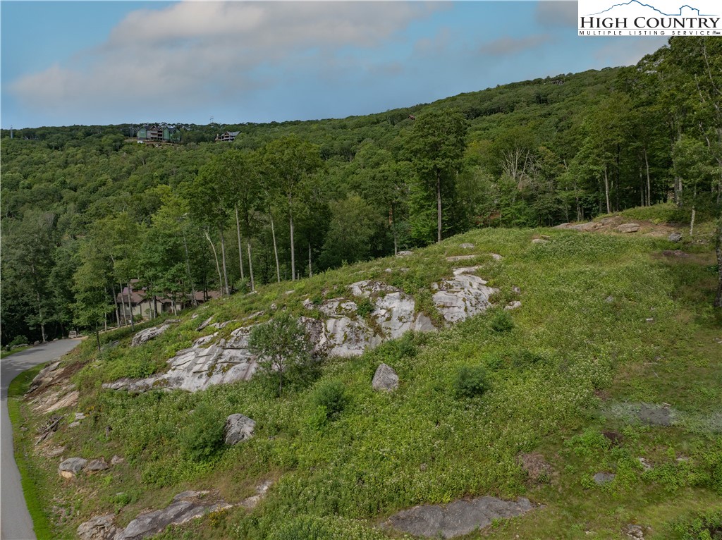 S50 Cliffside Trail Banner Elk, NC 28604 - Photo 21 of 21 a view of a field with an ocean