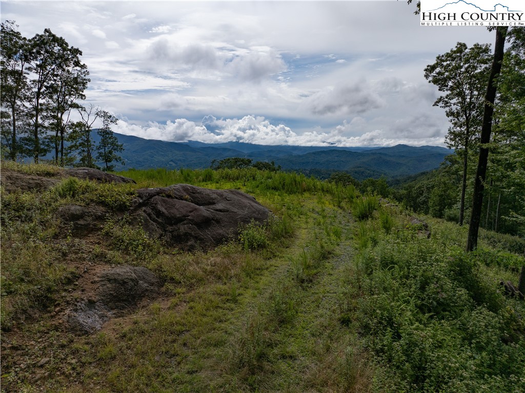 S50 Cliffside Trail Banner Elk, NC 28604 - Photo 3 of 21 a view of a bunch of trees and bushes