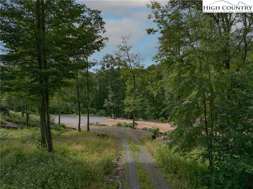 S50 Cliffside Trail Banner Elk, NC 28604 - Photo 5 of 21