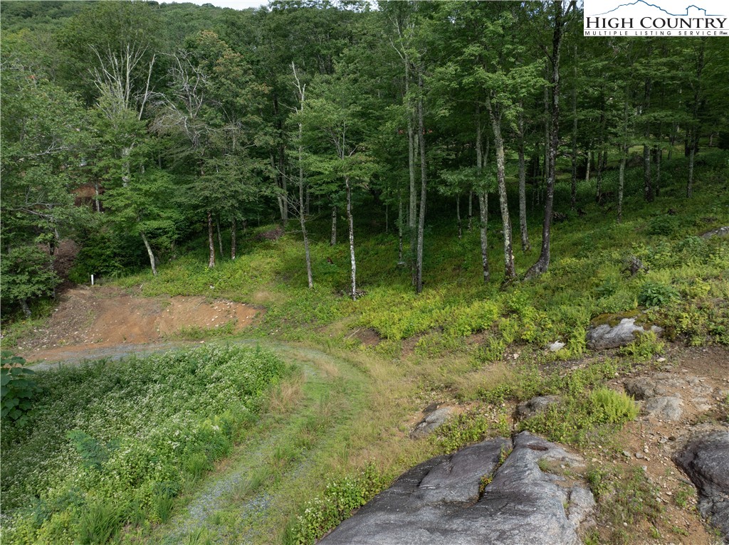 S50 Cliffside Trail Banner Elk, NC 28604 - Photo 6 of 21 a backyard of a house with lots of green space