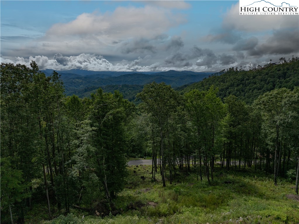 S50 Cliffside Trail Banner Elk, NC 28604 - Photo 8 of 21 a view of a city with lush green forest