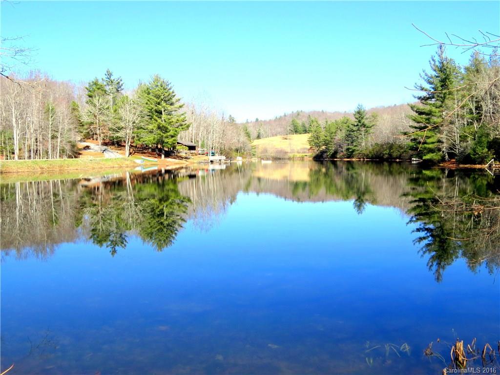 388 Elite Ridge Road Brevard, NC 28712 - Photo 20 of 23 Gallery Image 20
