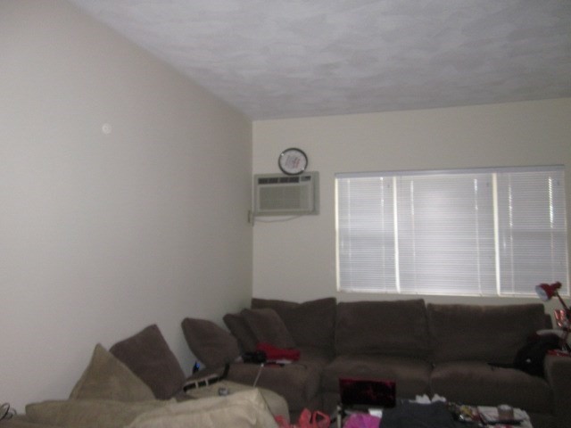 46 Rustic Street, Unit 46 Newton, MA 02458 - Photo 10 of 11 a living room with furniture and a window