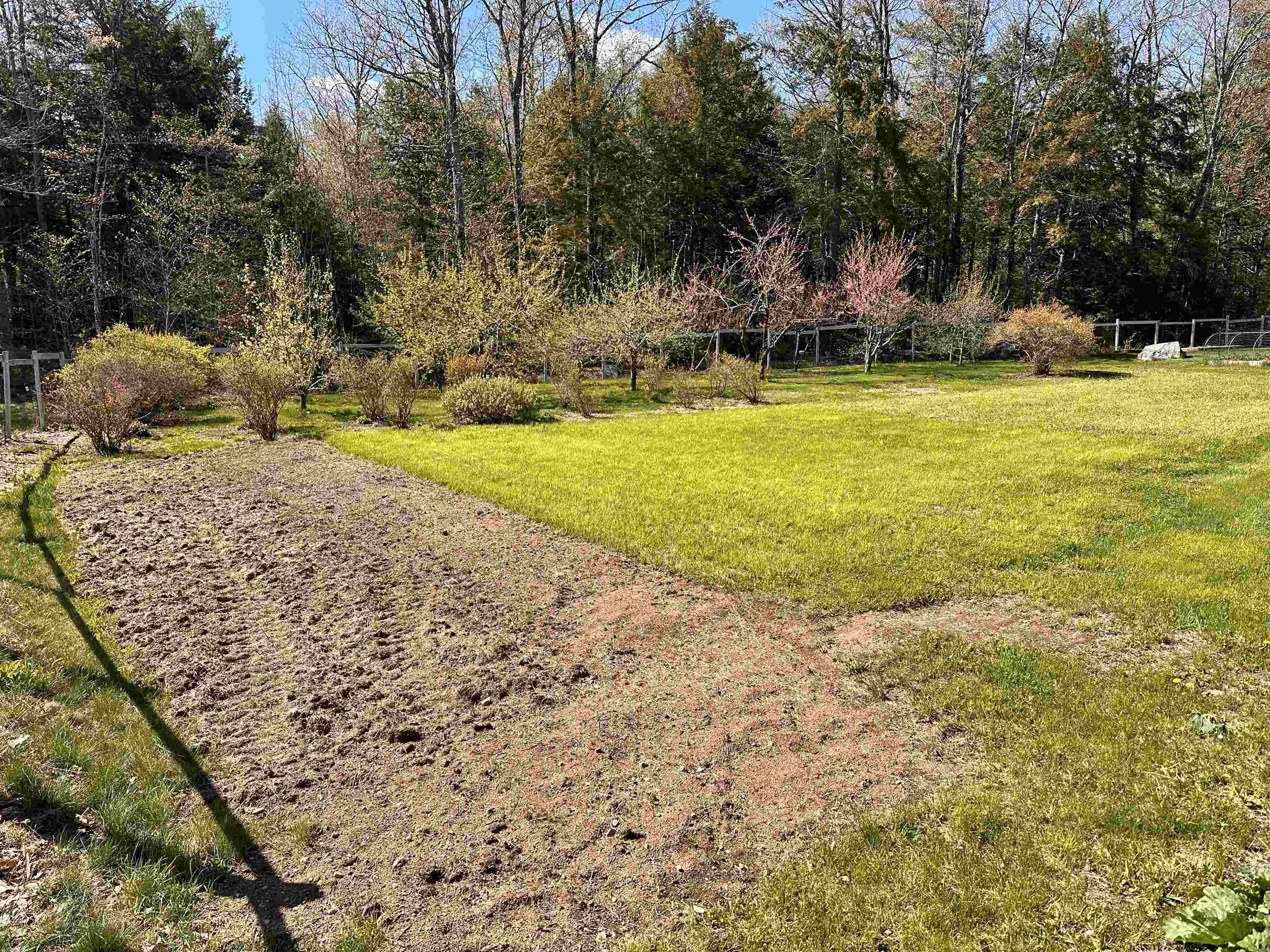 378 Silver Street Middleton, NH 03887 - Photo 24 of 58