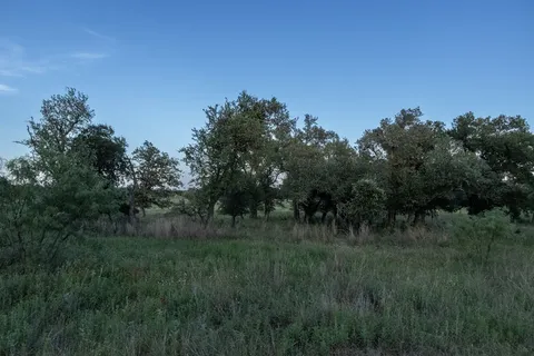 $394,900 | Lot #9 Slate Rock Road, Unit 9, Fredericksburg, TX 78624