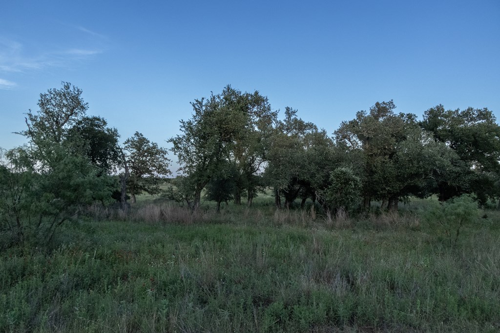Lot #9 Slate Rock Road, Unit 9 Fredericksburg, TX 78624 - Photo 5 of 16