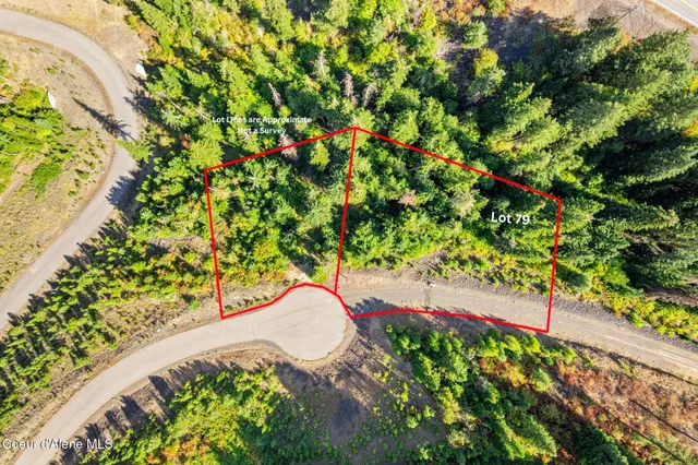 $49,500 | Nna South Nna S Turquoise Drive, Harrison, ID 83833