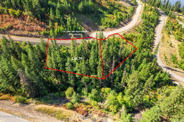 $49,500 | Nna South Nna S Turquoise Drive, Harrison, ID 83833