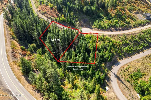 $49,500 | Nna South Nna S Turquoise Drive, Harrison, ID 83833