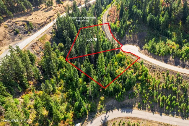 $49,500 | Nna South Nna S Turquoise Drive, Harrison, ID 83833