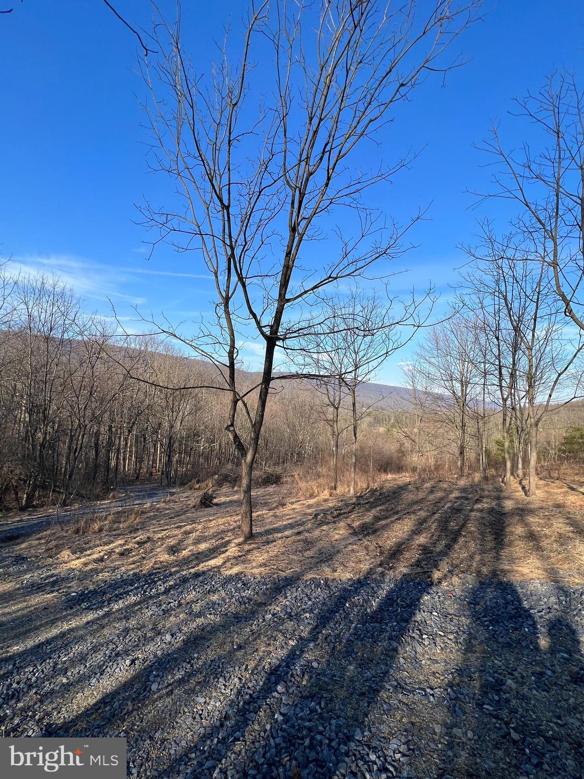 Lot 2-1124 Dormantown Road McClure, PA 17841 - Photo 15 of 15 Gallery Image 15