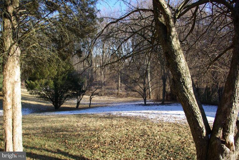 9955 Old Mill Road Ellicott City, MD 21042 - Photo 5 of 5 Wooded View / Acreage 3