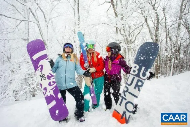 a backyard of a house with lots of green space and fountain