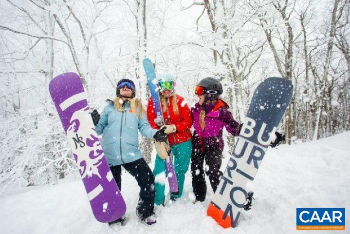 340 Chestnut Place Roseland, VA 22967 - Photo 12 of 26 a view of entryway