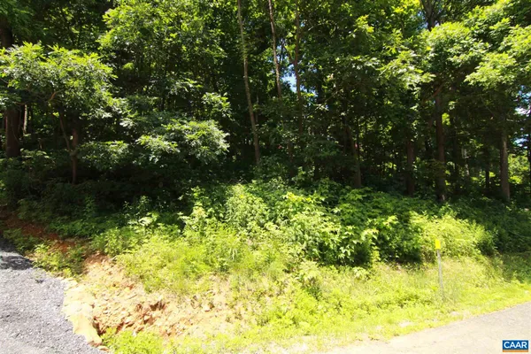 a view of a yard