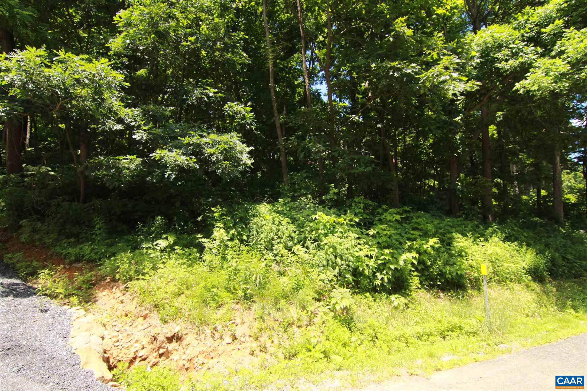 340 Chestnut Place Roseland, VA 22967 - Photo 2 of 26 a view of a yard