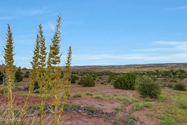 a view of a back yard of the house
