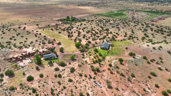 a view of a big yard with large trees