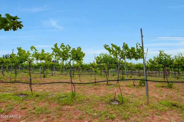 a bathroom with a shower curtain