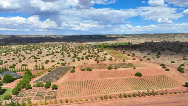 a aerial view of a yard