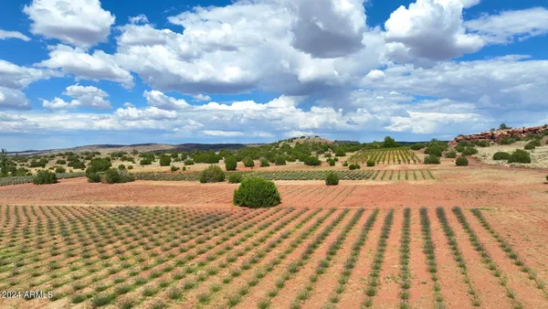 a view of an outdoor space and yard