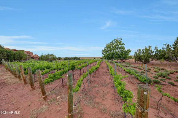 $5,000,000 | 14 County Road 5309, Concho, AZ 85924