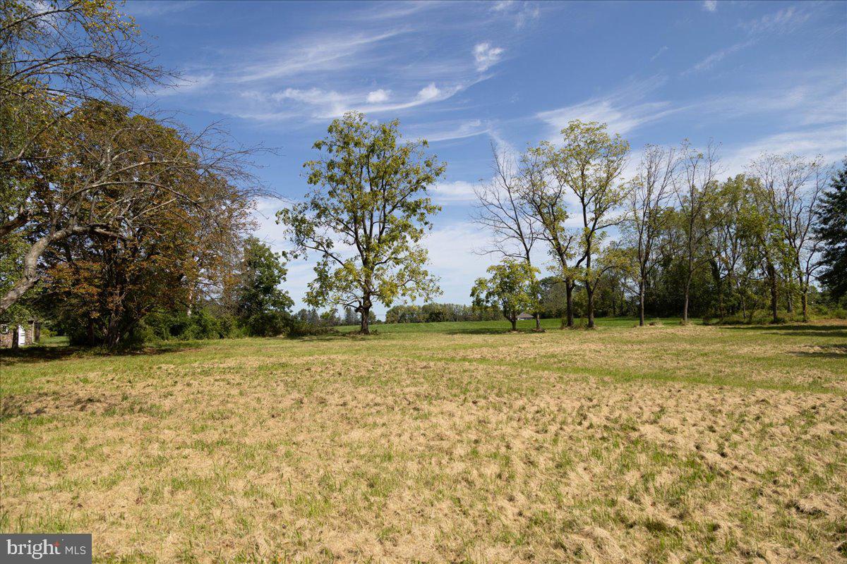 508 Telegraph Road Perkasie, PA 18944 - Photo 11 of 21 a view of a yard with an trees