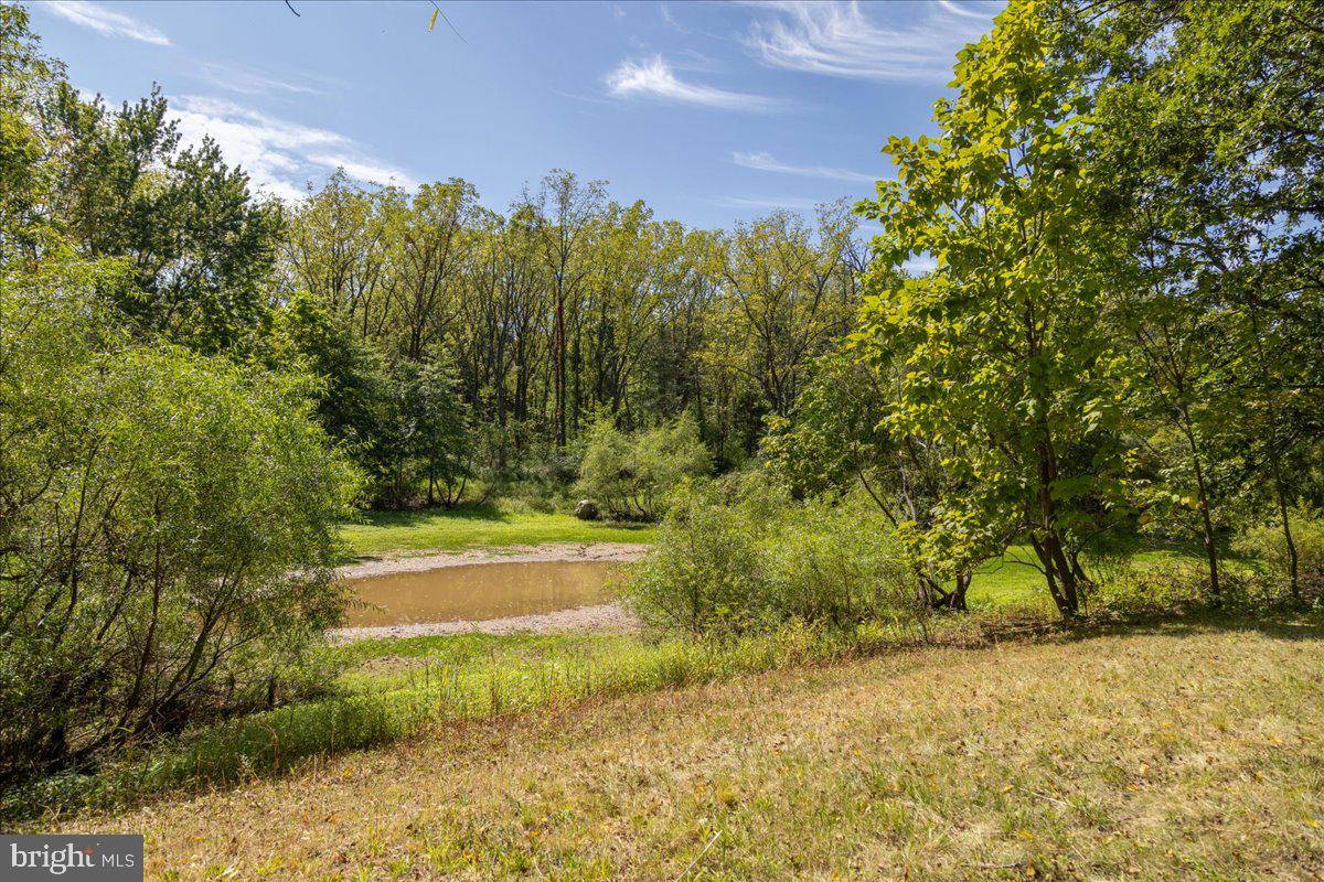 508 Telegraph Road Perkasie, PA 18944 - Photo 13 of 21 a view of a yard with an trees