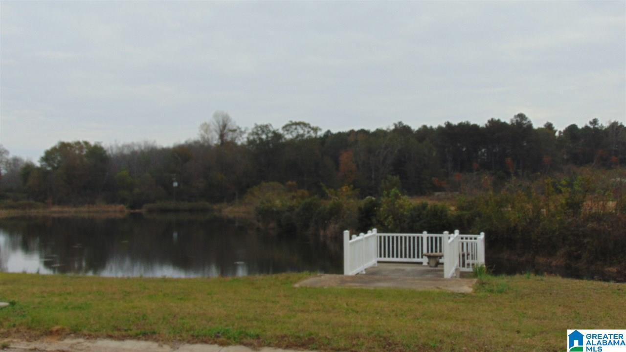 78 Spring Lake Boulevard Clanton, AL 35045 - Photo 20 of 20