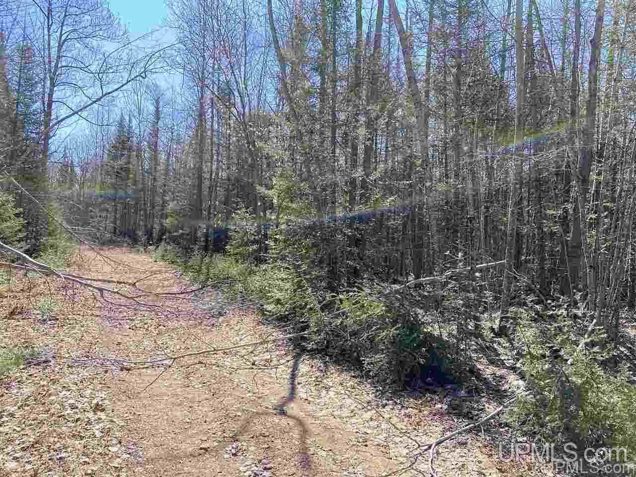Tbd Tbd Off Powerline Gwinn, MI 49841 - Photo 6 of 28
