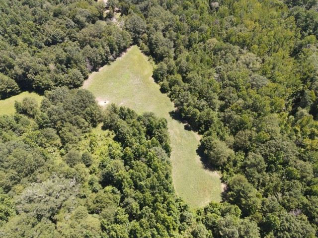 0 State Park Road Durant, MS 39063 - Photo 3 of 6 Photo 3