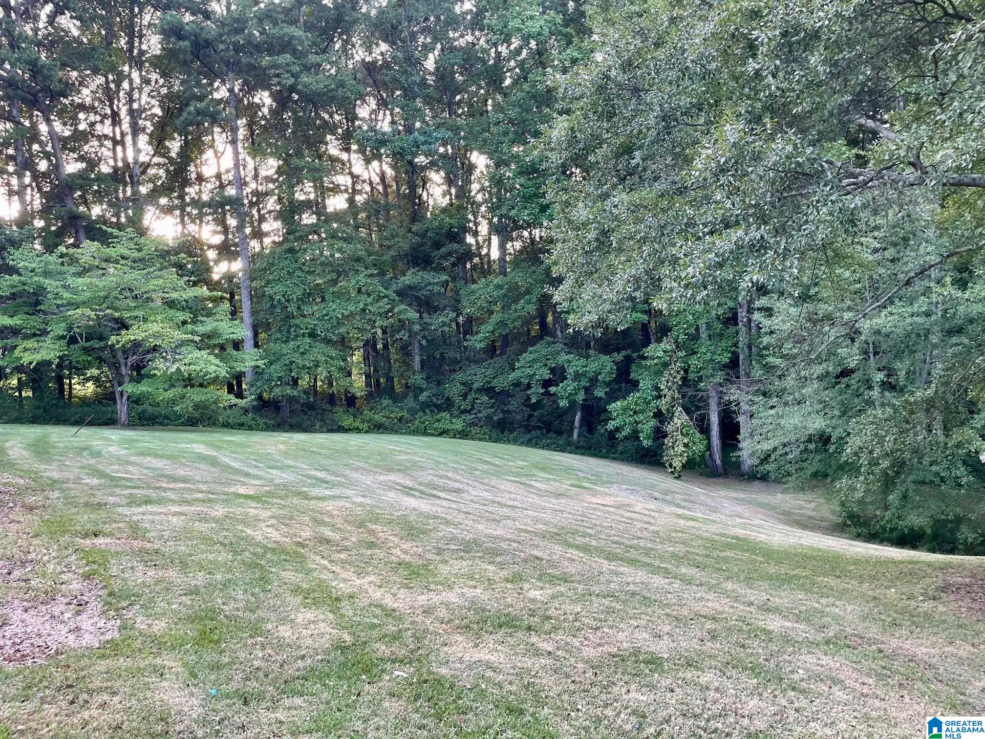 2373 Red Hill School Road Hayden, AL 35079 - Photo 22 of 26 Gallery Image 22