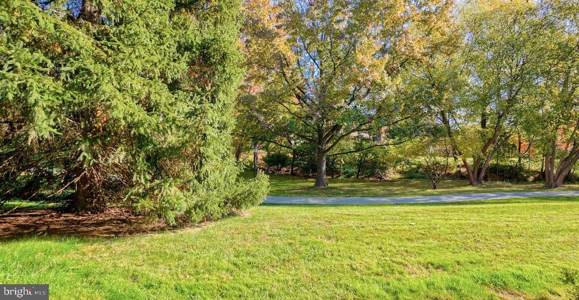 3314 Chiswick Court, Unit 621G Silver Spring, MD 20906 - Photo 15 of 19 Patio views of the walking path and nature