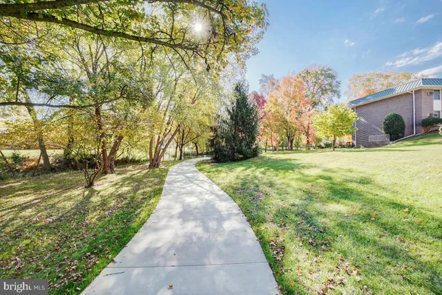 a view of a yard with trees