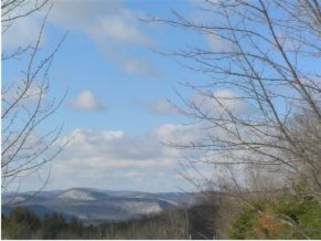 1278 Old County Road Cavendish, VT 05142 - Photo 4 of 15
