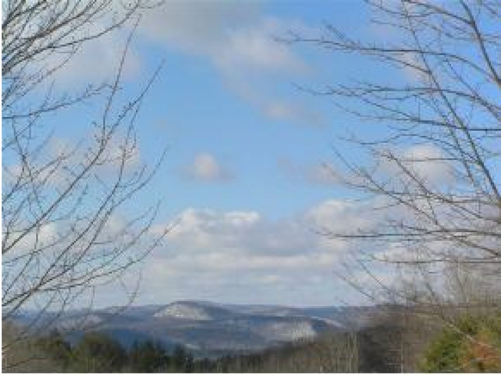 1278 Old County Road Cavendish, VT 05142 - Photo 7 of 15