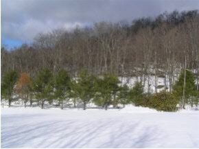 1278 Old County Road Cavendish, VT 05142 - Photo 9 of 15