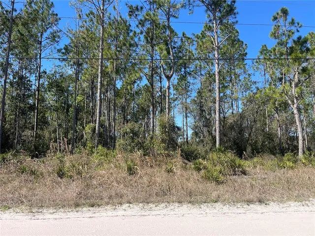 a view of a yard with plants and trees