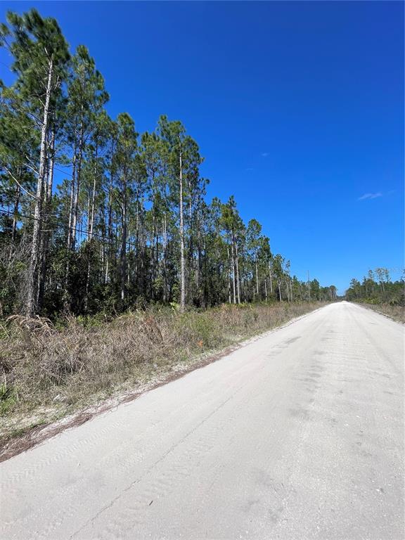 Chesser Hammock Road Pierson, FL 32180 - Photo 4 of 7 a view of a dry yard with a house in the background