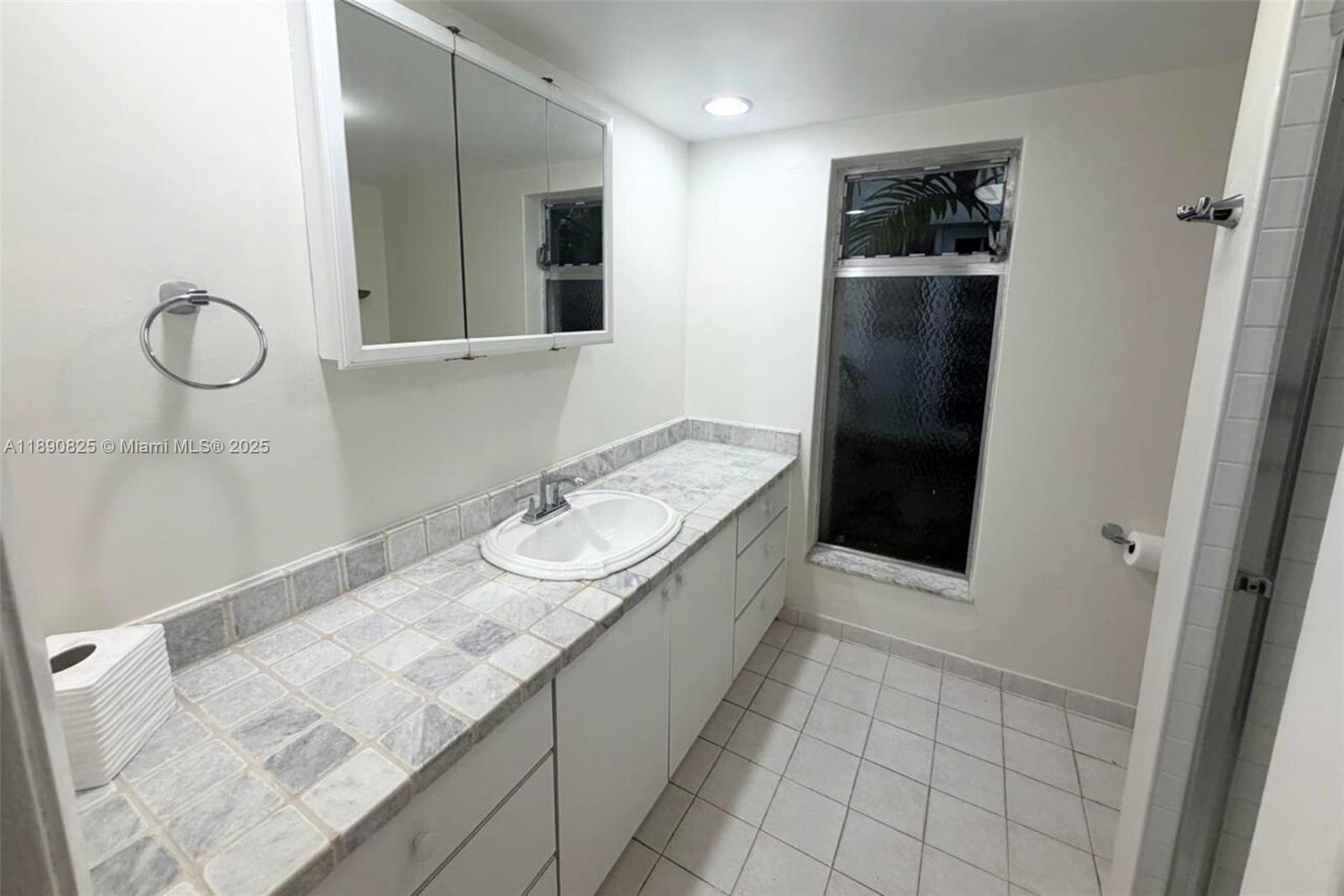 1856 Opechee Drive, Unit 2 Miami, FL 33133 - Photo 10 of 15 a bathroom with a granite countertop sink a toilet and shower