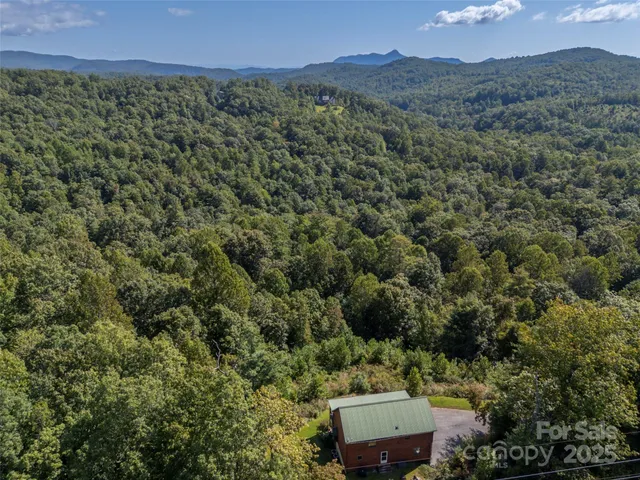 a view of a mountain